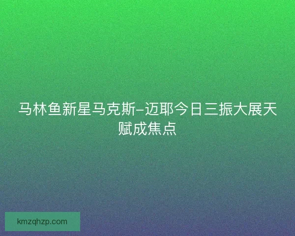 马林鱼新星马克斯-迈耶今日三振大展天赋成焦点